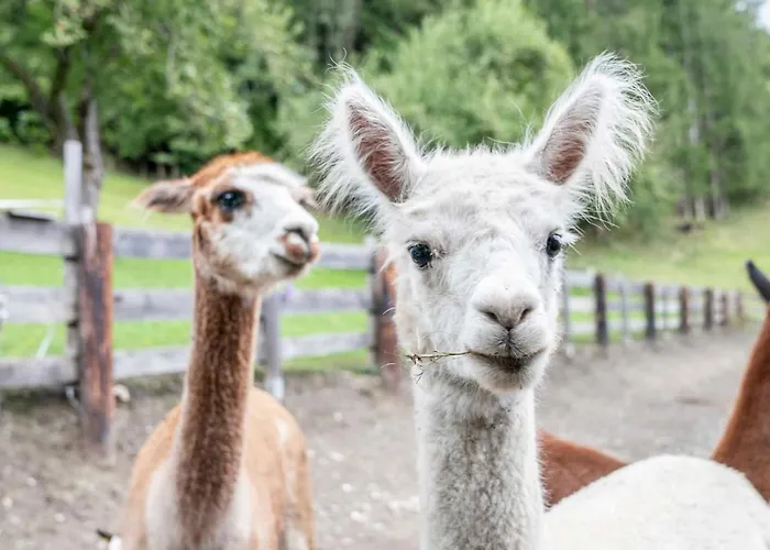 Apartmán Ruggenthalerhof