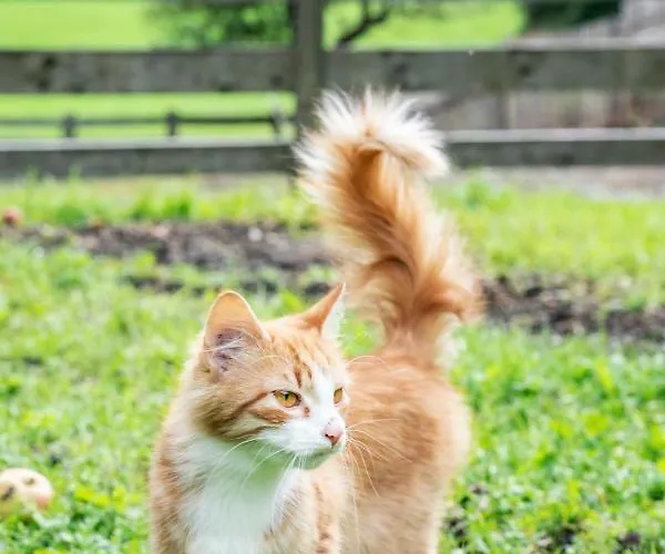 Ruggenthalerhof * Matrei in Osttirol